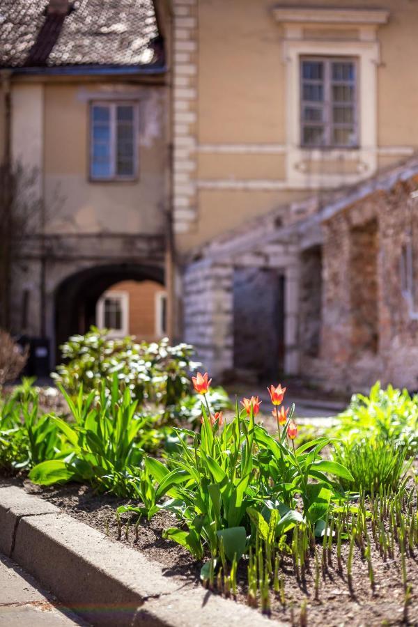 #Stayhere - Historic Vilnius Old Town Chic Studio Εξωτερικό φωτογραφία