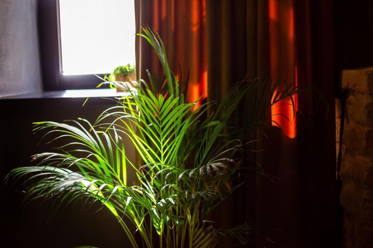 #Stayhere - Historic Vilnius Old Town Chic Studio Εξωτερικό φωτογραφία